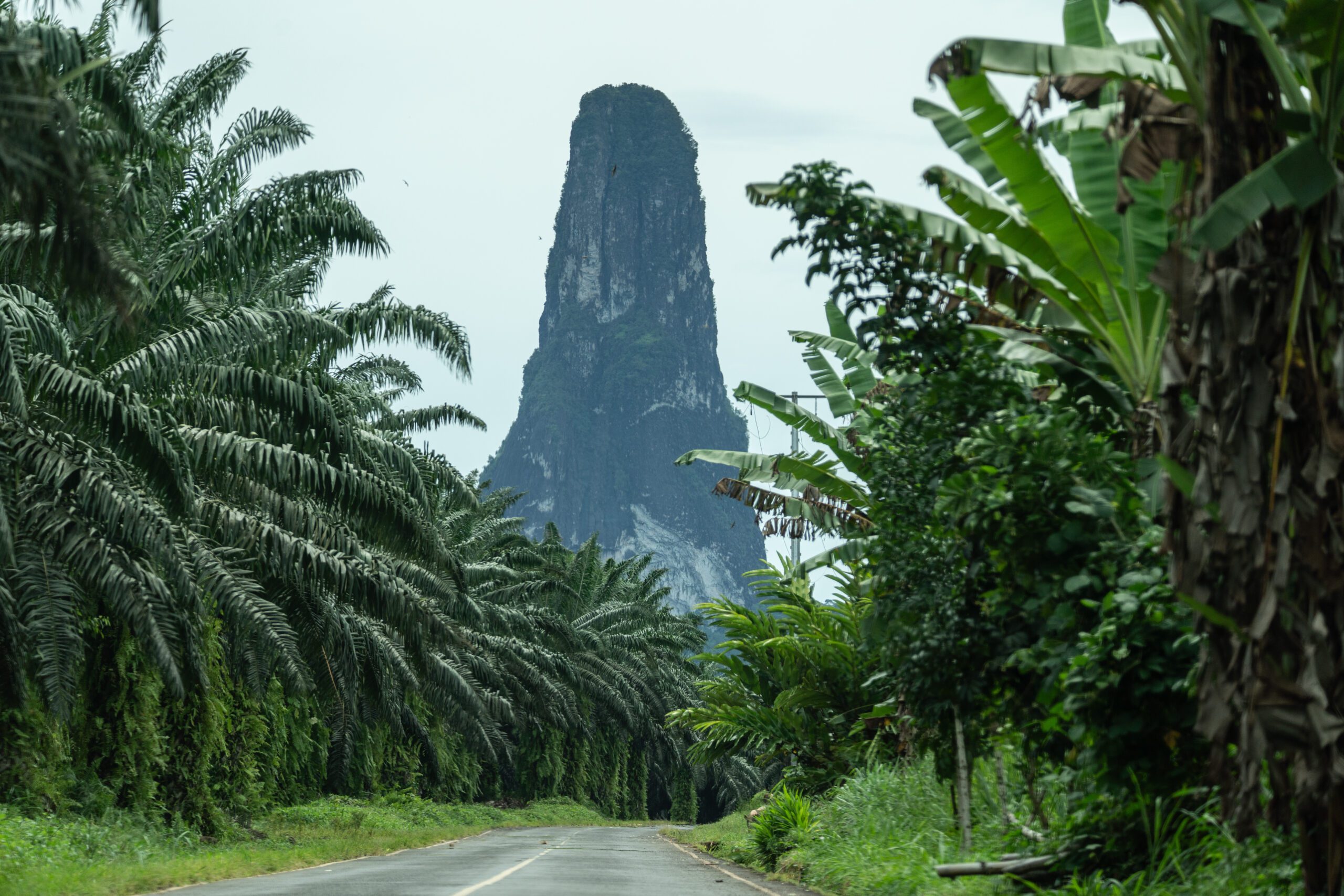 Pico Cao Grande