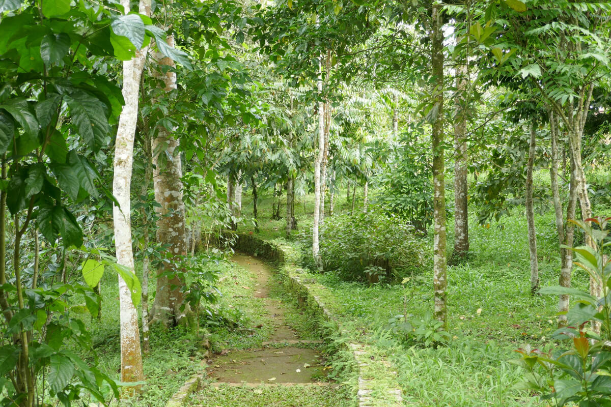 Jardín Botánico de Bom Sucesso