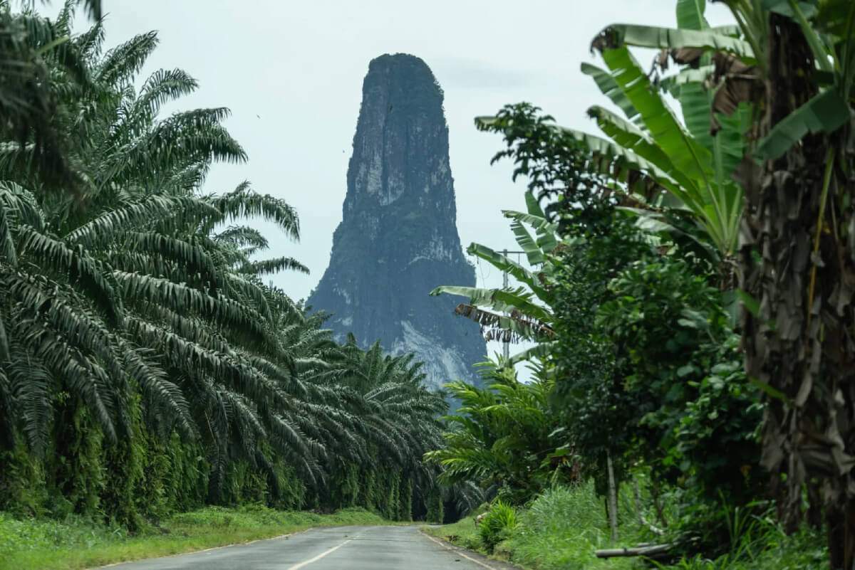 pico cao grande