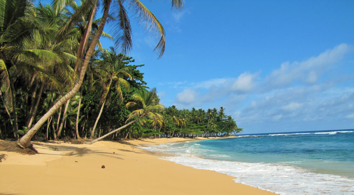 Cocoteros sobre la arena dorada de Praia Inhame, en el sur de Santo Tomé