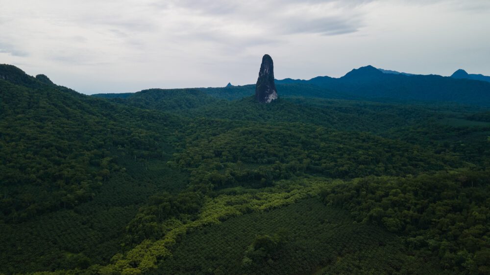 Vista aérea del Pico Cão Grande sobre la selva del sur de la isla de Santo Tomé