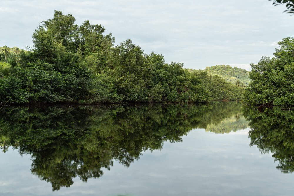 manglar de Malanza en el sur de Santo Tomé