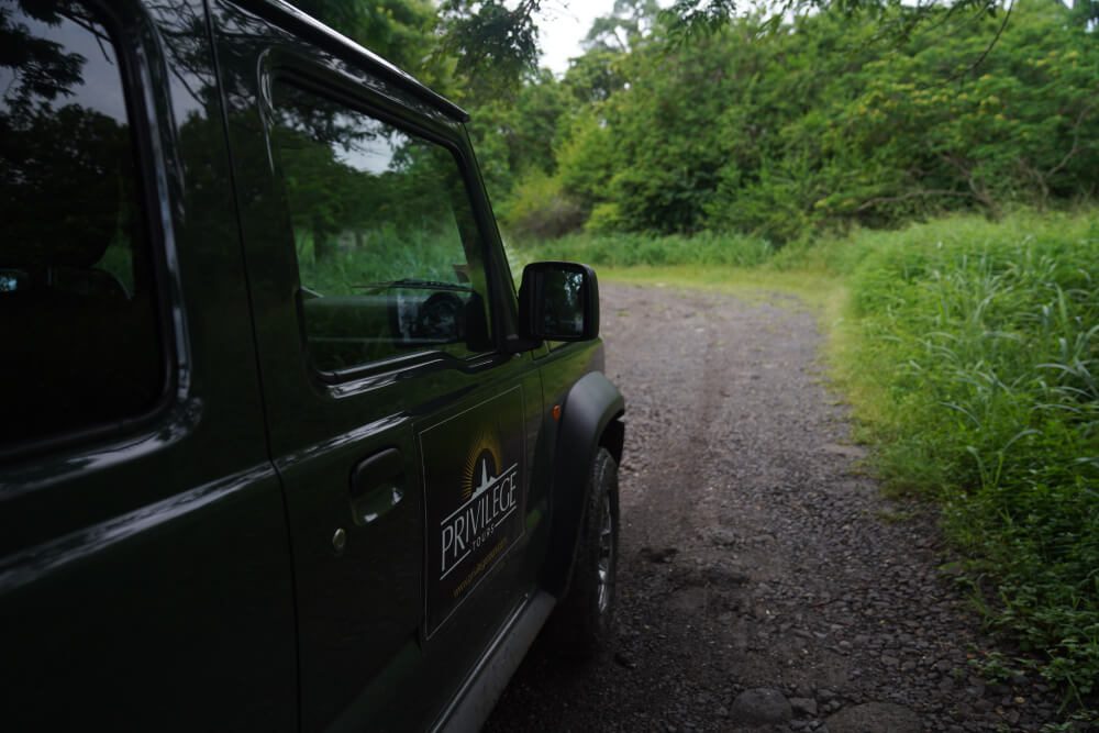 Pista de tierra hacia el inicio de una ruta de senderismo en Santo Tomé